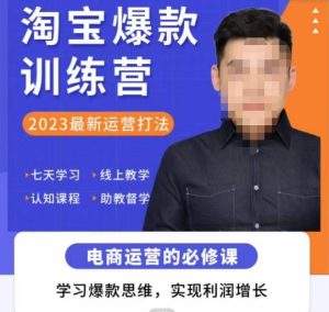 爱上黄昏·淘宝爆款训练营，2023最新运营打法，学习爆款思维，实现利润增长-易得个人分享