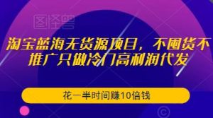 淘宝蓝海无货源项目，不囤货不推广只做冷门高利润代发，花一半时间赚10倍钱-易得个人分享