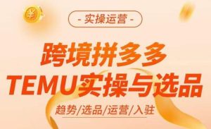 跨境拼多多TEMU实操与选品，​掌握平台运营方法技巧，选品避坑12条标准，爆款的底层思路等-易得个人分享