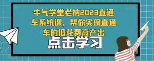 牛气学堂老衲2023直通车系统课，帮你实现直通车的低花费高产出-易得个人分享