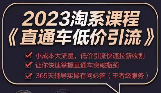 2023直通车低价引流玩法课程，小成本大流量，低价引流快速拉新收割，让你快速掌握直通车突破瓶颈-易得个人分享
