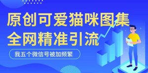 黑科技纯原创可爱猫咪图片，全网精准引流，实操5个VX号被加频繁-易得个人分享
