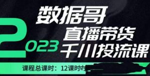 数据哥2023直播电商巨量千川付费投流实操课，快速掌握直播带货运营投放策略-易得个人分享