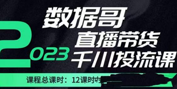 数据哥2023直播电商巨量千川付费投流实操课，快速掌握直播带货运营投放策略-易得个人分享