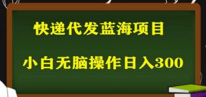 2023最新蓝海快递代发项目，小白零成本照抄也能日入300+-易得个人分享