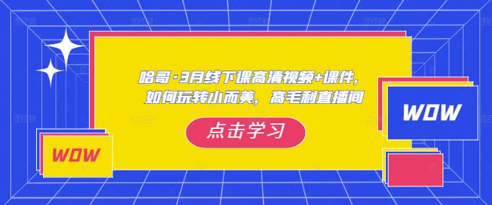 哈哥·3月线下实操课高清视频+课件，如何玩转小而美，高毛利直播间-易得个人分享