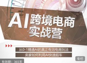 白龙老师·AI跨境电商实战营：从0-1精通Al的真正有效电商玩法，卖家如何利用Al快速超车-易得个人分享