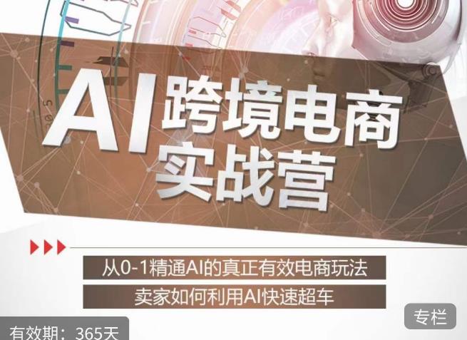 白龙老师·AI跨境电商实战营：从0-1精通Al的真正有效电商玩法，卖家如何利用Al快速超车-易得个人分享