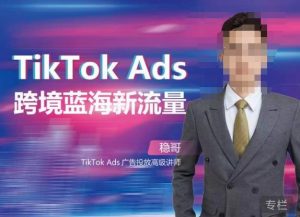 稳哥·如何投出高ROI的TikTok广告，开拓独立站卖家流量新蓝海-易得个人分享