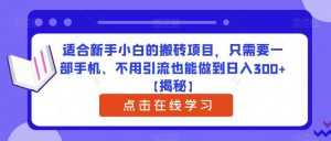 适合新手小白的搬砖项目，只需要一部手机、不用引流也能做到日入300+【揭秘】-易得个人分享