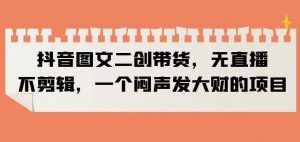 抖音图文二创带货，无直播，不剪辑，一个闷声发大财的项目【揭秘】-易得个人分享