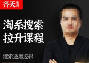 齐天电商·淘系搜索提升课程，​搜索递增标准化，动销标准化流程-易得个人分享