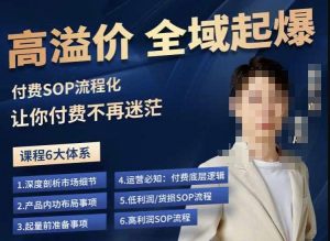 逸风-拼多多高溢价全域起爆，6大课程体系，付费玩法全套实操-易得个人分享