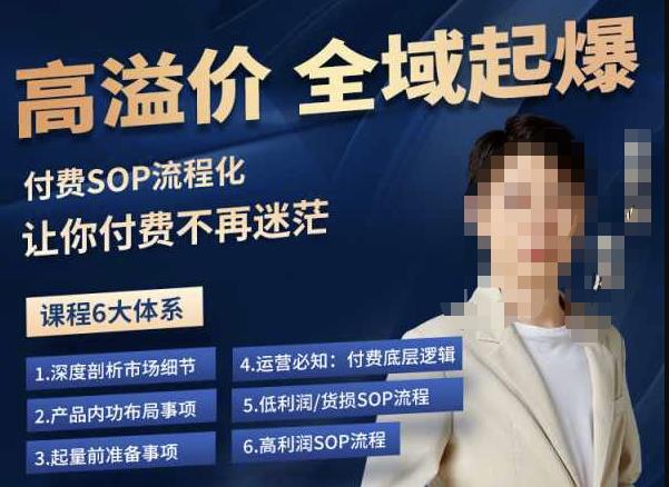 逸风-拼多多高溢价全域起爆，6大课程体系，付费玩法全套实操-易得个人分享