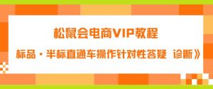 松鼠会电商VIP教程：松鼠《付费推广标品·半标直通车操作针对性答疑&诊断》-易得个人分享