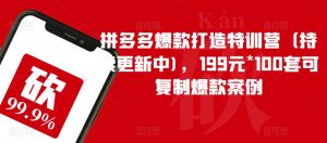 拼多多爆款打造特训营（持续更新中)，199元*100套可复制爆款案例-易得个人分享