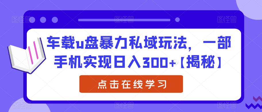 车载u盘暴力私域玩法，一部手机实现日入300+【揭秘】-易得个人分享
