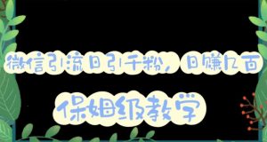 微信互推圈半自动引流方案，矩阵操作日引千人思路【详细视频教程】-易得个人分享