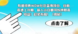 有道词典WOW社区蓝海项目，目前高速上升期，新人小白都可以换取高收益！赶紧布局！【揭秘】-易得个人分享