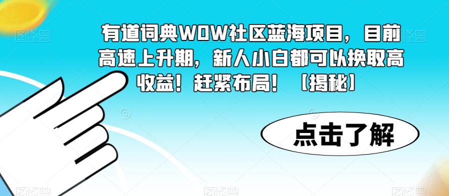 有道词典WOW社区蓝海项目，目前高速上升期，新人小白都可以换取高收益！赶紧布局！【揭秘】-易得个人分享