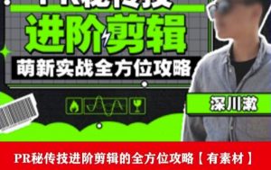 PR进阶剪辑培训班，让你快速成为剪辑大师12节视频课程+素材！-易得个人分享