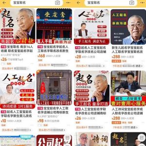 拆解小红书宝宝起名虚拟副业项目，一条龙实操玩法分享给你（教程+软件）-易得个人分享