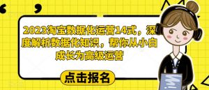 2023淘宝数据化运营14式，深度解析数据化知识，帮你从小白成长为高级运营-易得个人分享