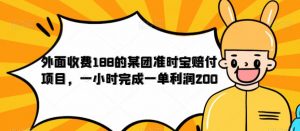 外面收费188的美团准时宝赔付项目，一小时完成一单利润200【仅揭秘】-易得个人分享
