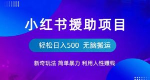小红书援助项目新奇玩法，简单暴力，无脑搬运轻松日入500【揭秘】-易得个人分享