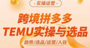 伍跃·跨境拼多多TEMU实操与选品，​趋势/选品/运营/入住（27节完整）-易得个人分享
