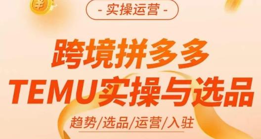 伍跃·跨境拼多多TEMU实操与选品，​趋势/选品/运营/入住（27节完整）-易得个人分享