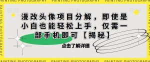 漫改头像项目分解，即使是小白也能轻松上手，仅需一部手机即可【揭秘】-易得个人分享