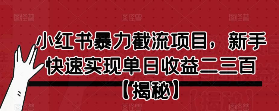 小红书暴力截流项目，新手快速实现单日收益二三百【仅揭秘】-易得个人分享