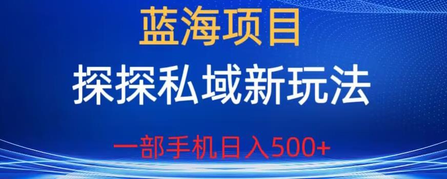 蓝海项目，探探私域新玩法，一部手机日入500+很轻松【揭秘】-易得个人分享