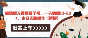 极速版无费用薅羊毛，一天躺赚10-50+，小白无脑操作【拆解】-易得个人分享