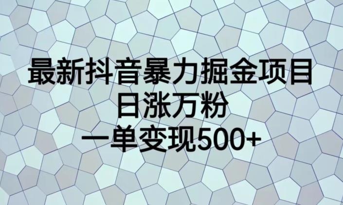 最新抖音暴力掘金项目，日涨万粉，一单变现500+【揭秘】-易得个人分享