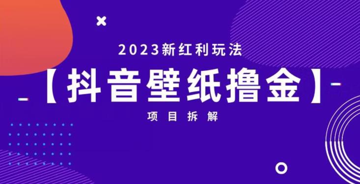 抖音壁纸小程序创作者撸金项目，2023新红利玩法【项目拆解】-易得个人分享