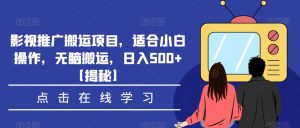 影视推广搬运项目，适合小白操作，无脑搬运，日入500+【揭秘】-易得个人分享