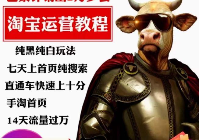 猫老师·淘系算法逆向解密，​纯黑纯白玩法，七天上首页纯搜索，手淘首页14天流量过万-易得个人分享