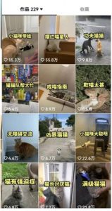 拆解：抖音盘点类中视频变现副业项目，视频版一条龙大解析分享给你-易得个人分享