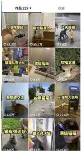 拆解抖音盘点类中视频变现副业项目，视频版一条龙大解析分享给你【视频课程】-易得个人分享