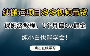 纯搬运项目多多视频带货保姆级教程，1个月搞5w佣金，纯小白也能学会【揭秘】-易得个人分享