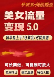 TK美女短视频变现项目无限复制（升级版），全网最高性价比项目【揭秘】-易得个人分享