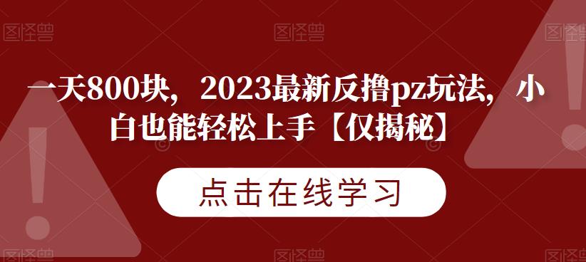 一天800块，2023最新反撸pz玩法，小白也能轻松上手【仅揭秘】-易得个人分享