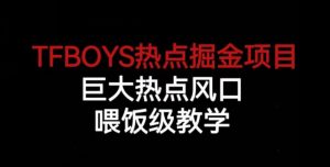 TFBOYS热点掘金项目，巨大热点风口，喂饭级教学-易得个人分享