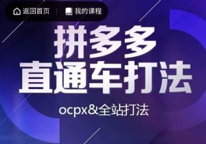 互力·拼多多直通车打法，ocpx&全站打法-易得个人分享