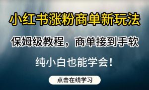 小红书涨粉商单新玩法，保姆级教程，商单接到手软，纯小白也能学会【揭秘】-易得个人分享