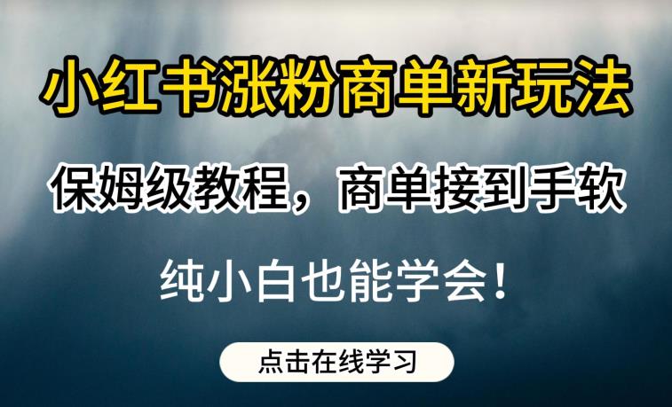 小红书涨粉商单新玩法，保姆级教程，商单接到手软，纯小白也能学会【揭秘】-易得个人分享
