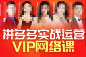 推易拼多多VIP全套直播课程，拼多多店铺实操玩法+实战玩法选款内功+直通车高阶等-易得个人分享
