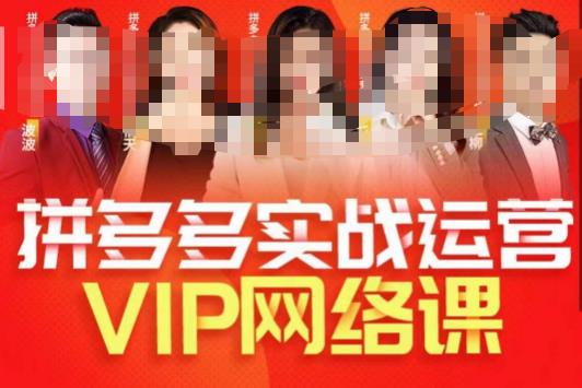 推易拼多多VIP全套直播课程,拼多多店铺实操玩法+实战玩法选款内功+直通车高阶等-易得个人分享